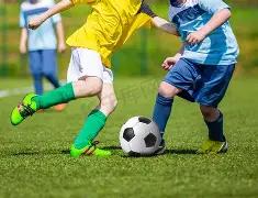 Team,赛制革新揭,荣获上海,易倍体育平台,易倍体育官方网站,易倍体育登录入口,易倍体育app下载