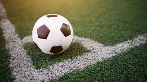 易倍体育 资讯 113727 dy1