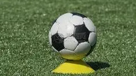 易倍体育 产品 135319 5m1