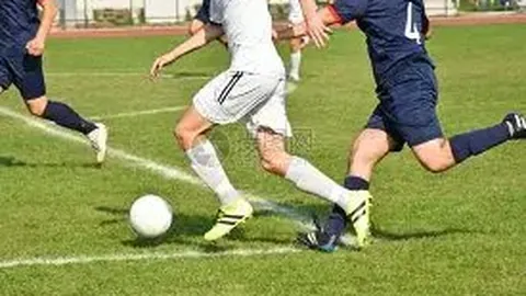 易倍体育 资讯 135301 93i