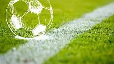 易倍体育 资讯 110607 pya